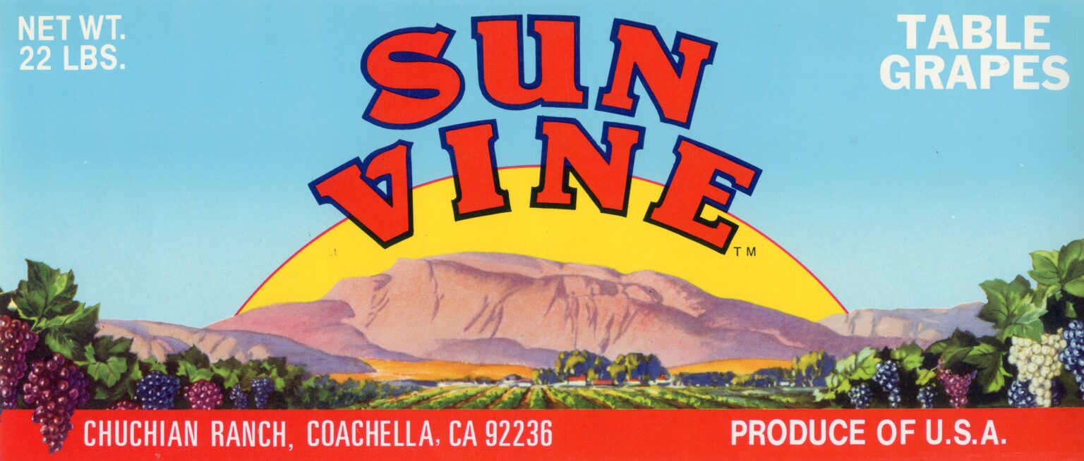 Sun Vine